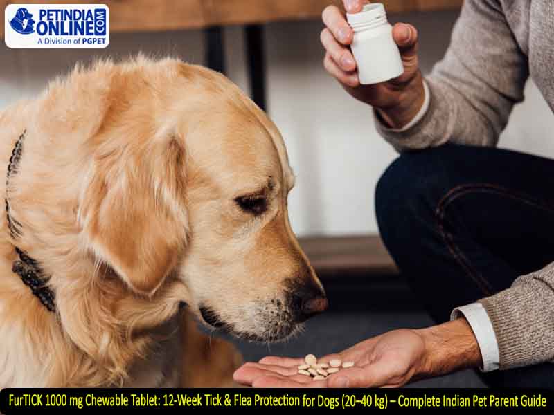 FurTICK 1000 mg Chewable Tablet: 12-Week Tick & Flea Protection for Dogs (20–40 kg) – Complete Indian Pet Parent Guide