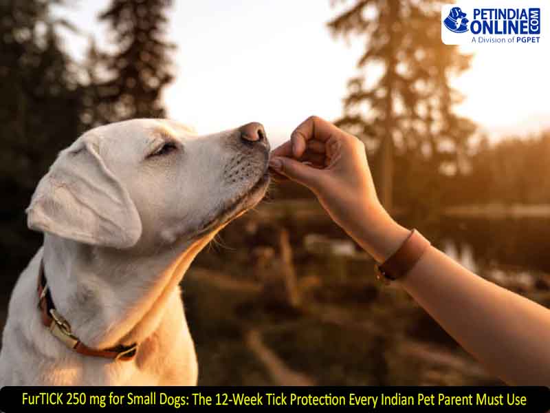 FurTICK 250 mg for Small Dogs: The 12-Week Tick Protection Every Indian Pet Parent Must Use