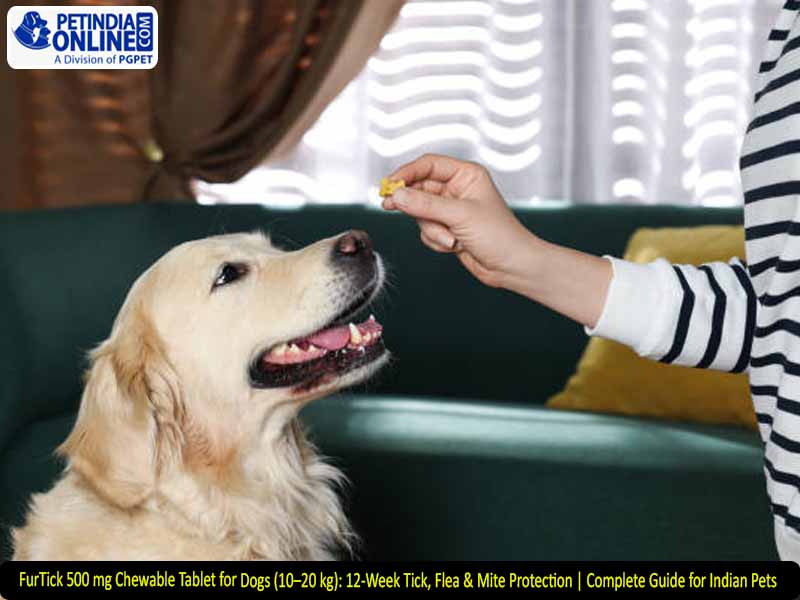 FurTick 500 mg Chewable Tablet for Dogs (10–20 kg): 12-Week Tick, Flea & Mite Protection | Complete Guide for Indian Pets