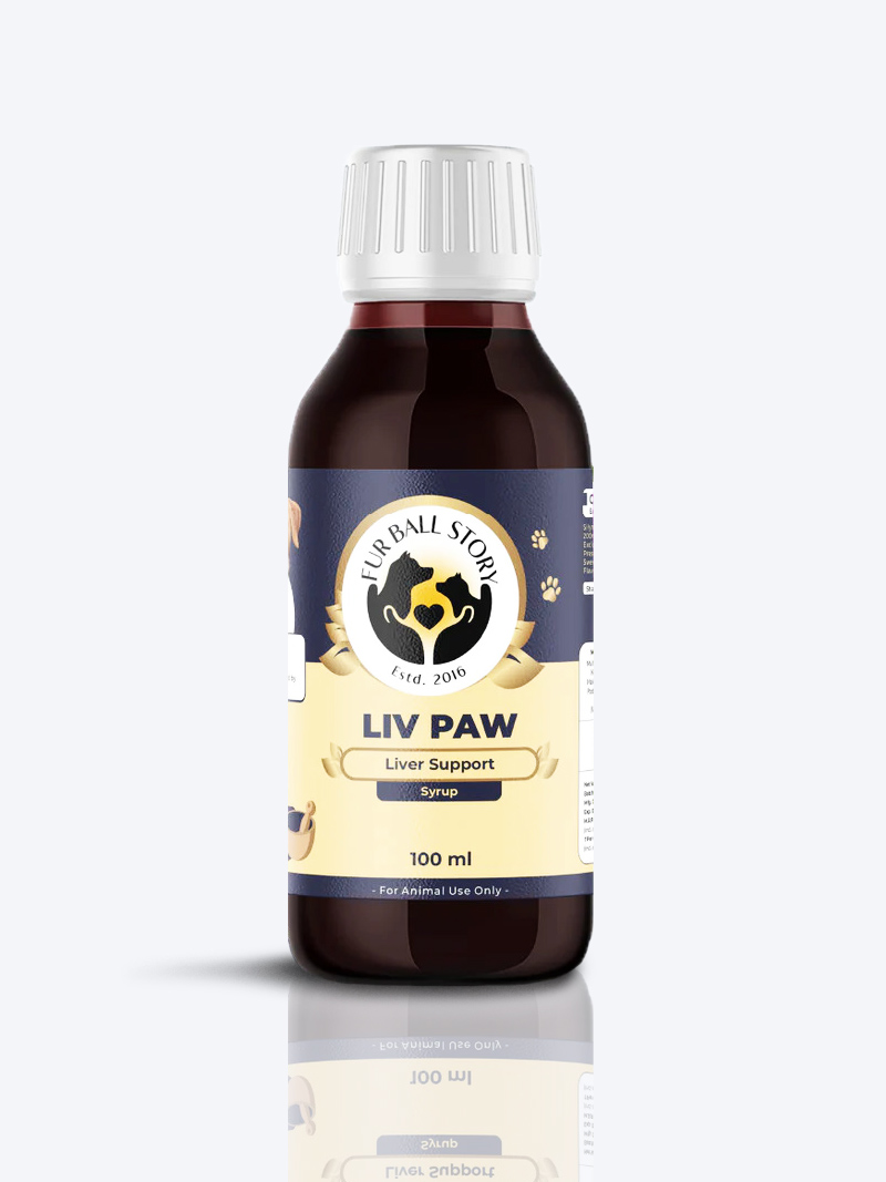Fur Ball Story Liv Paw Liver Support Syrup 100ml | Detox & Digestive Health