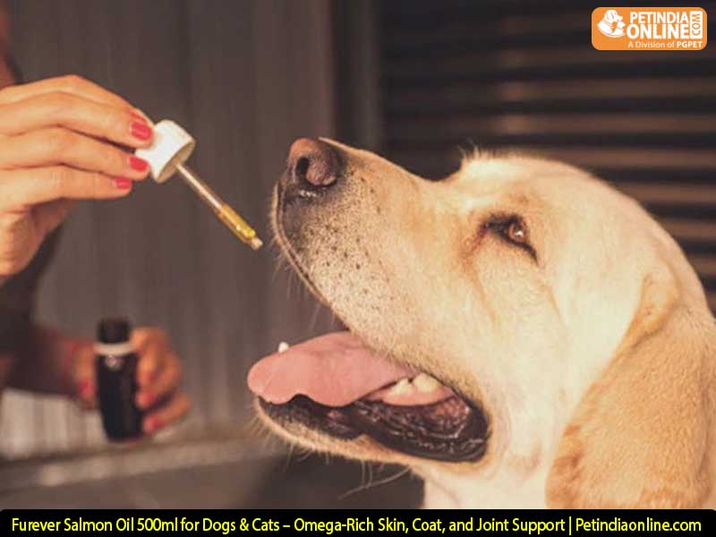 Furever Salmon Oil 500ml for Dogs & Cats – Omega-Rich Skin, Coat, and Joint Support | Petindiaonline.com