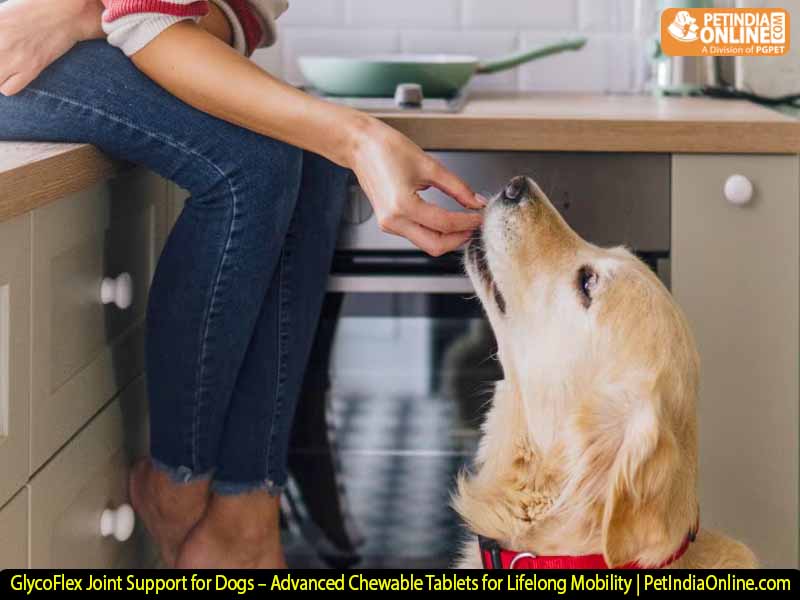 GlycoFlex Joint Support for Dogs – Advanced Chewable Tablets for Lifelong Mobility | PetIndiaOnline.com