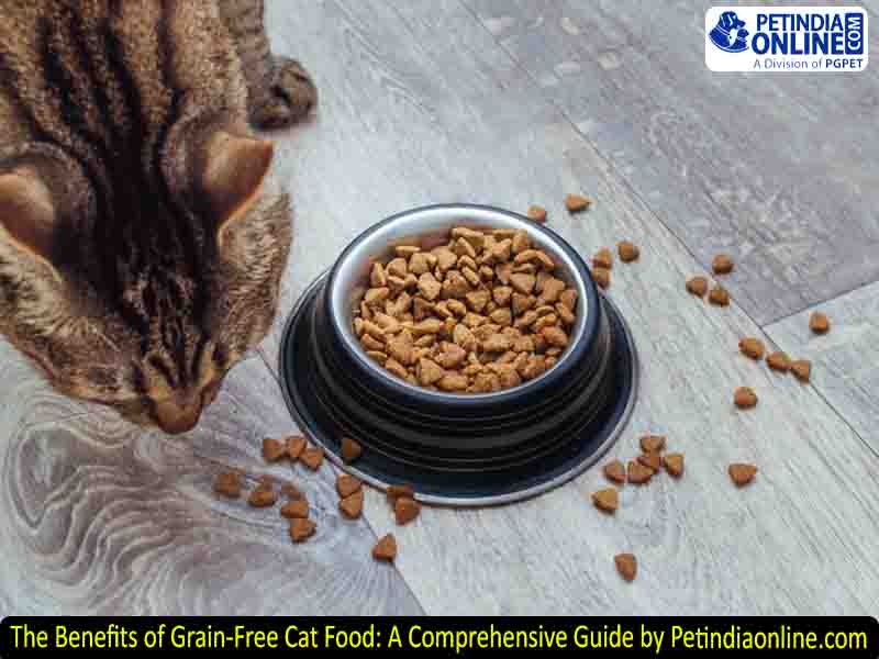 The Benefits of Grain-Free Cat Food: A Comprehensive Guide by Petindiaonline.com