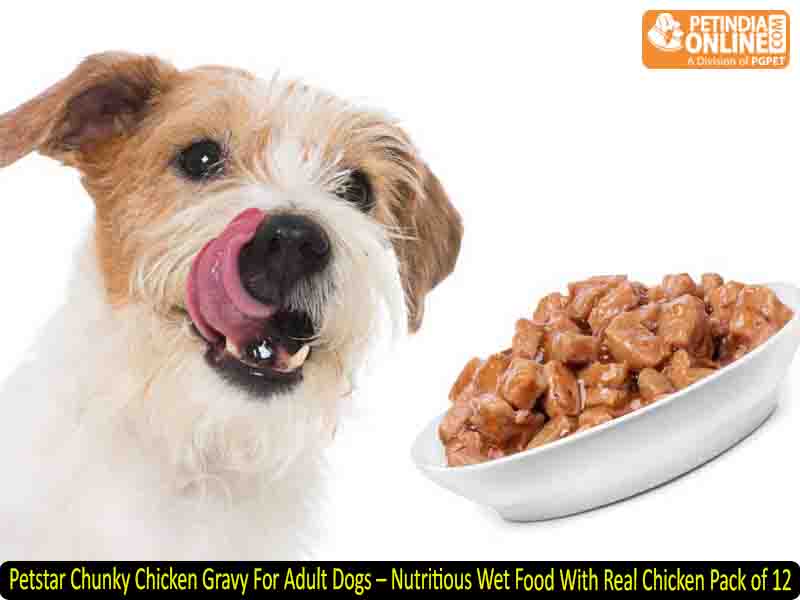 Petstar Chunky Chicken Gravy For Adult Dogs – Nutritious Wet Food With Real Chicken (Pack of 12)