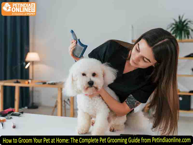 How to Groom Your Pet at Home: The Complete Pet Grooming Guide from Petindiaonline.com