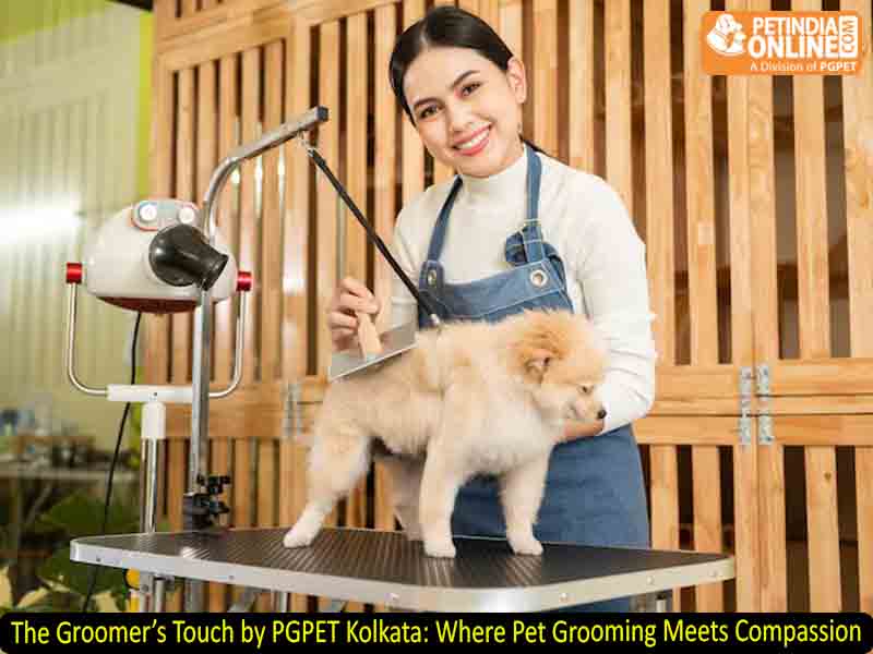 The Groomer’s Touch by PGPET Kolkata: Where Pet Grooming Meets Compassion