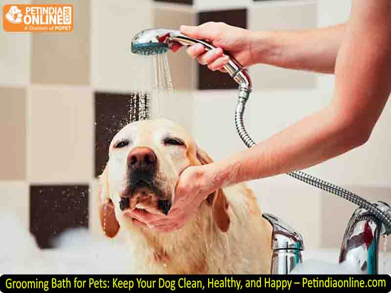 Grooming Bath for Pets: Keep Your Dog Clean, Healthy, and Happy – Petindiaonline.com