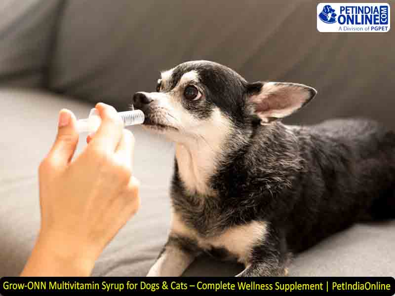 Grow-ONN Multivitamin Syrup for Dogs & Cats – Complete Wellness Supplement | PetIndiaOnline