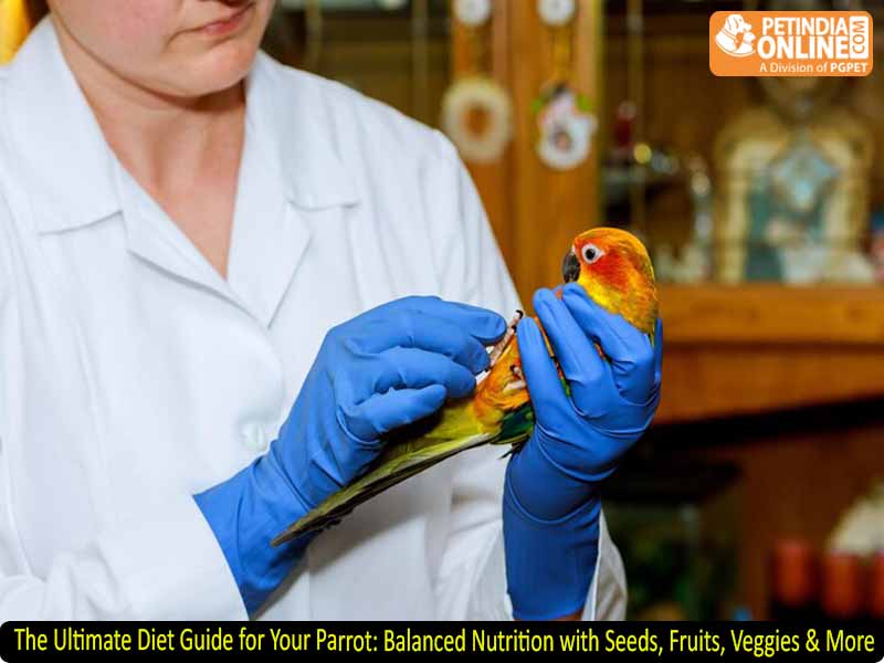 The Ultimate Diet Guide for Your Parrot: Balanced Nutrition with Seeds, Fruits, Veggies & More