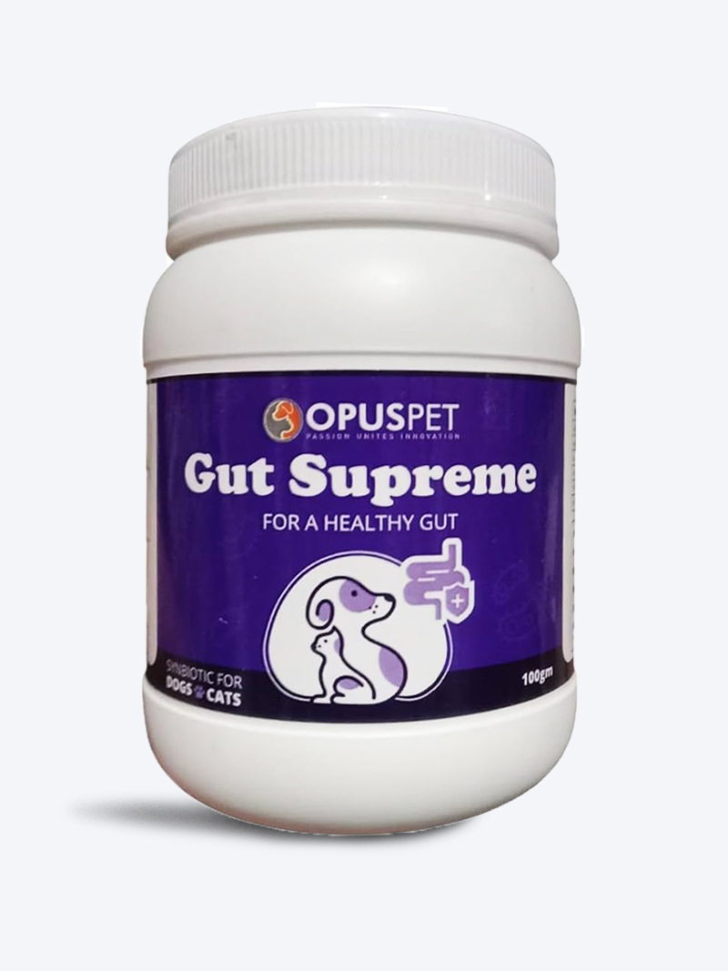 Gut Supreme Probiotic for Dogs & Cats 100gm | Improve Digestion & Gut Health