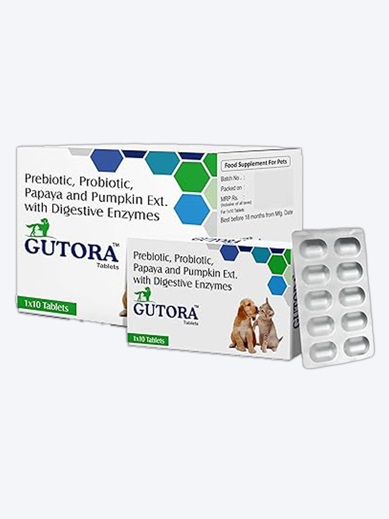 Gutora-SB for Dogs & Cats | Probiotic Supplement for Digestive Health