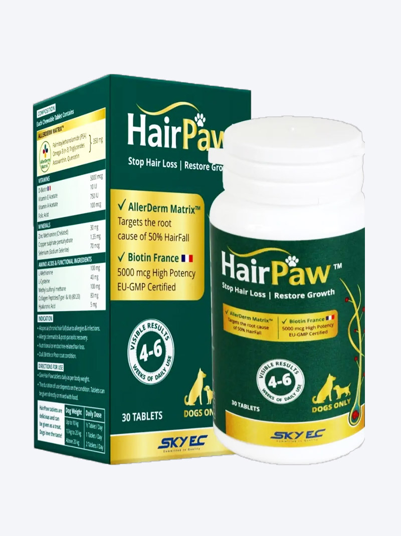 Hair & Paw Biotin Tablets for Dogs (30 Tablets) | Skin & Coat Support Supplement