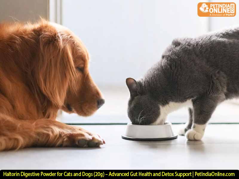Haltorin Digestive Powder for Cats and Dogs (20g) – Advanced Gut Health and Detox Support | PetIndiaOnline.com