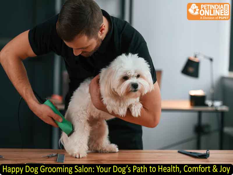 Happy Dog Grooming Salon: Your Dog’s Path to Health, Comfort & Joy
