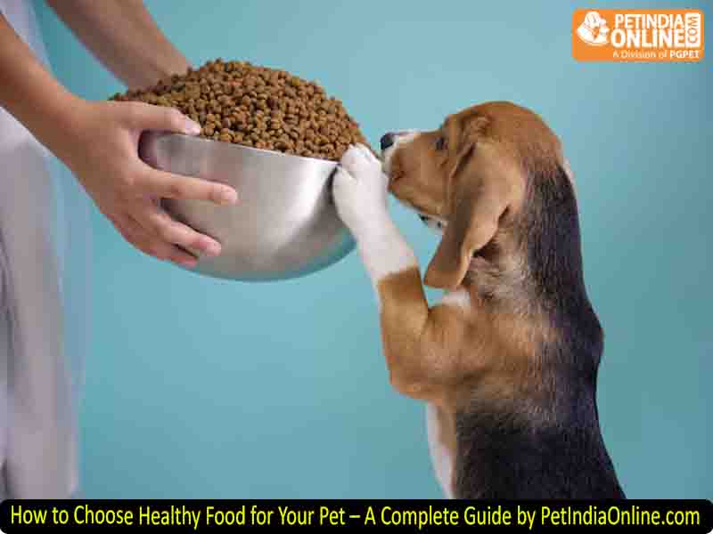 How to Choose Healthy Food for Your Pet – A Complete Guide by PetIndiaOnline.com