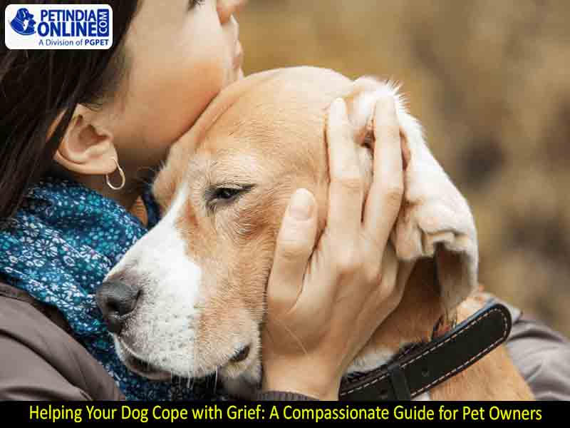 Helping Your Dog Cope with Grief: A Compassionate Guide for Pet Owners