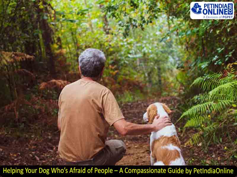 Helping Your Dog Who’s Afraid of People – A Compassionate Guide by PetIndiaOnline