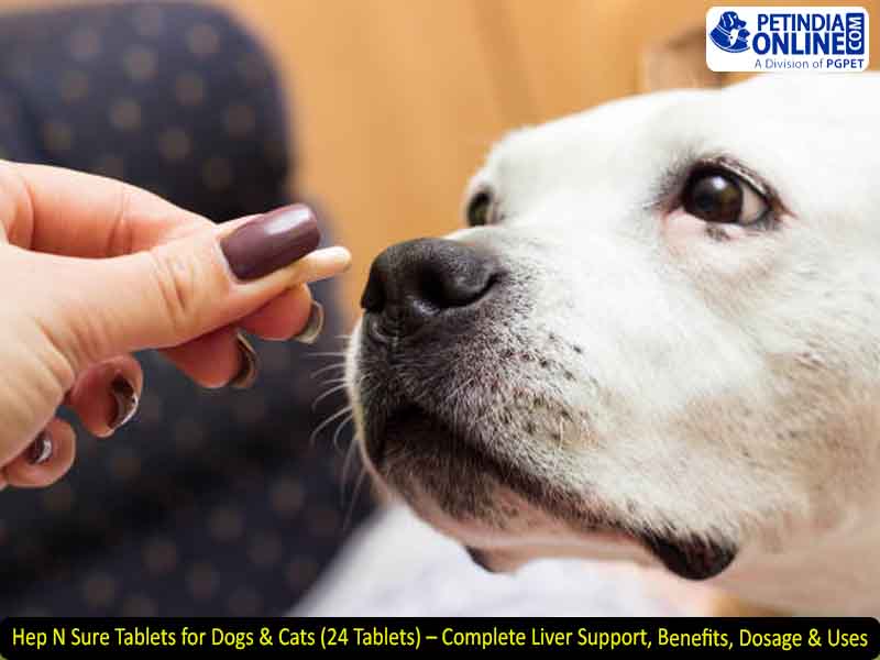 Hep N Sure Tablets for Dogs & Cats (24 Tablets) – Complete Liver Support, Benefits, Dosage & Uses