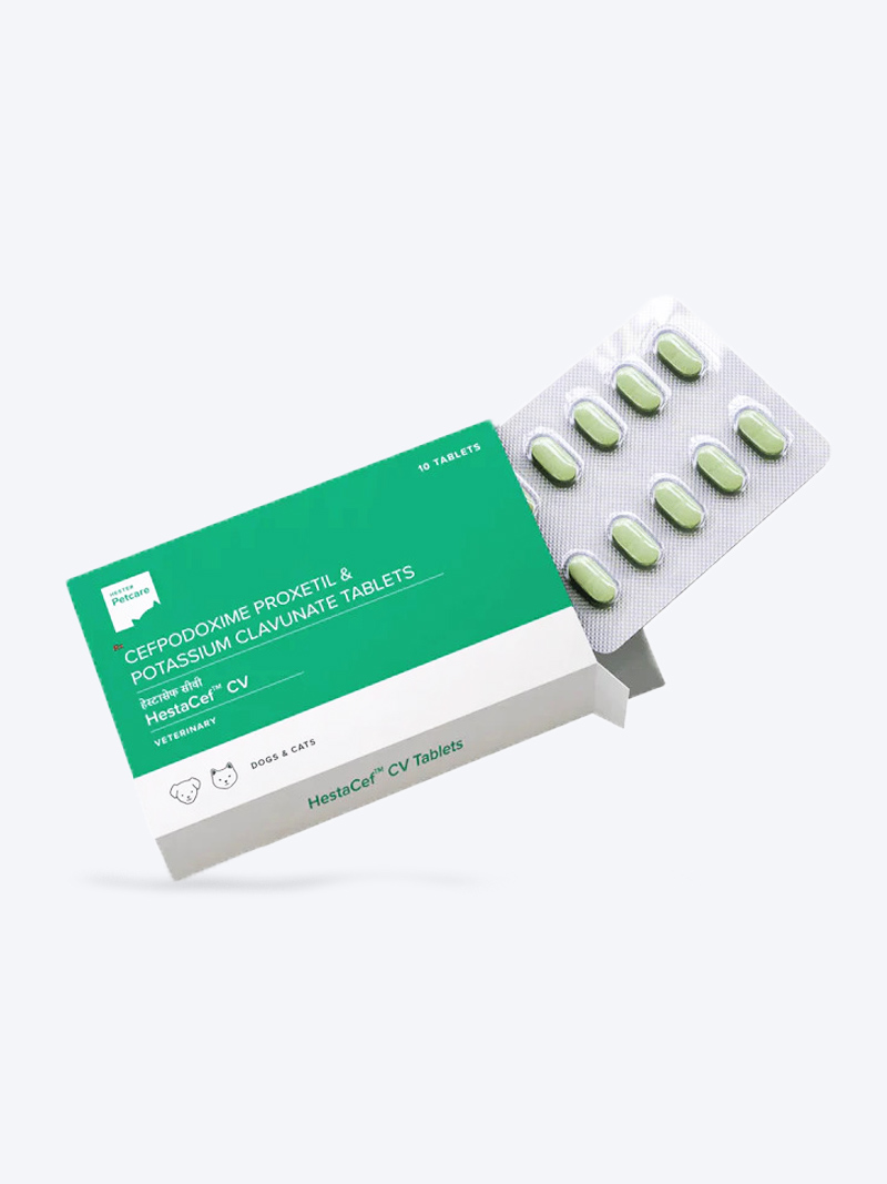 Buy HestaCef CV 10 Tablets in online India on Petindiaonline
