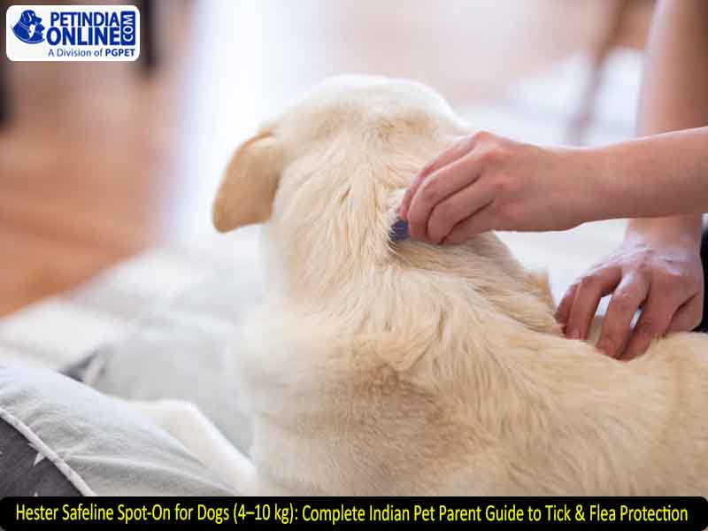 Hester Safeline Spot-On for Dogs (4–10 kg): Complete Indian Pet Parent Guide to Tick & Flea Protection