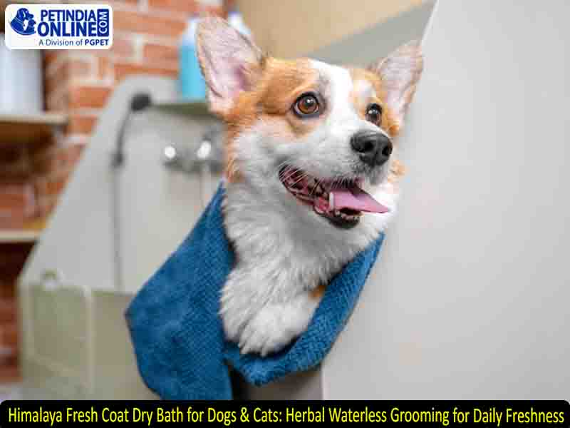 Himalaya Fresh Coat Dry Bath for Dogs & Cats: Herbal Waterless Grooming for Daily Freshness