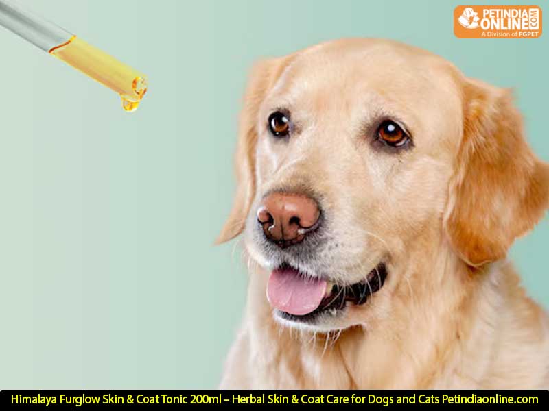 Himalaya Furglow Skin & Coat Tonic 200ml – Herbal Skin & Coat Care for Dogs and Cats  Petindiaonline.com