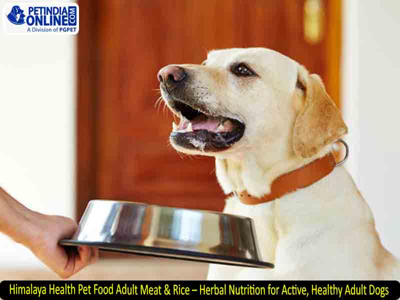 Himalaya Health Pet Food Adult Meat & Rice – Herbal Nutrition for Active, Healthy Adult Dogs
