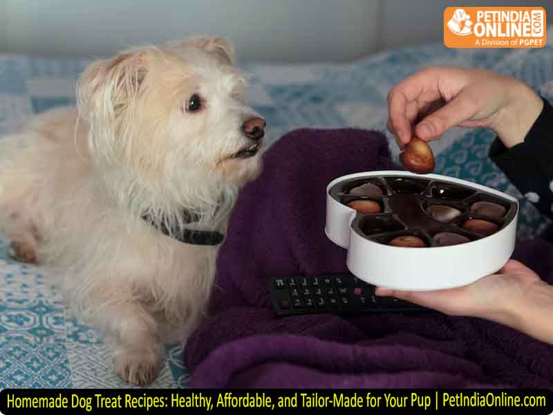 Homemade Dog Treat Recipes: Healthy, Affordable, and Tailor-Made for Your Pup | PetIndiaOnline.com