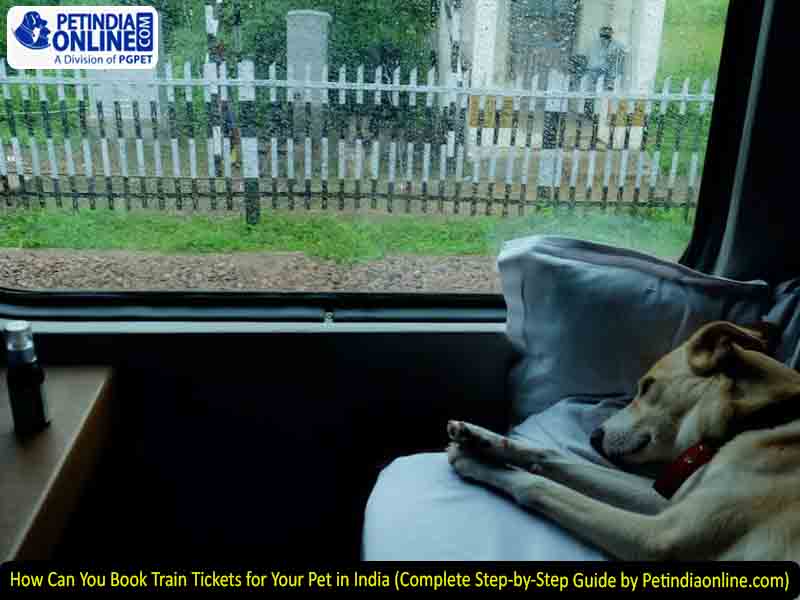 How Can You Book Train Tickets for Your Pet in India (Complete Step-by-Step Guide by Petindiaonline.com)