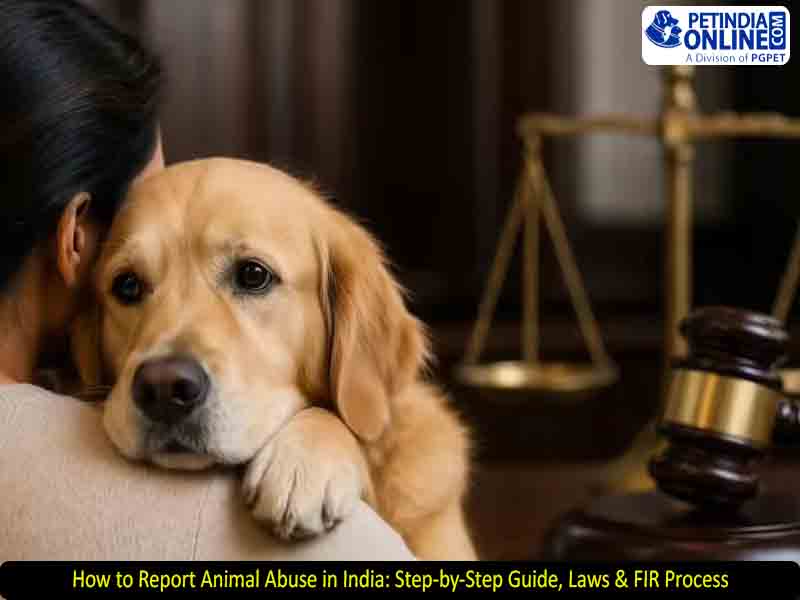 How to Report Animal Abuse in India: Step-by-Step Guide, Laws & FIR Process 