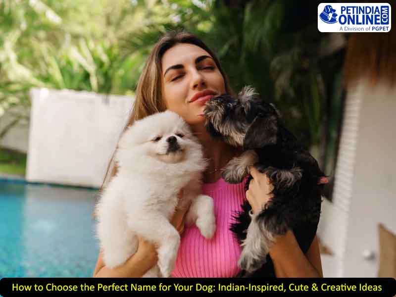How to Choose the Perfect Name for Your Dog: Indian-Inspired, Cute & Creative Ideas