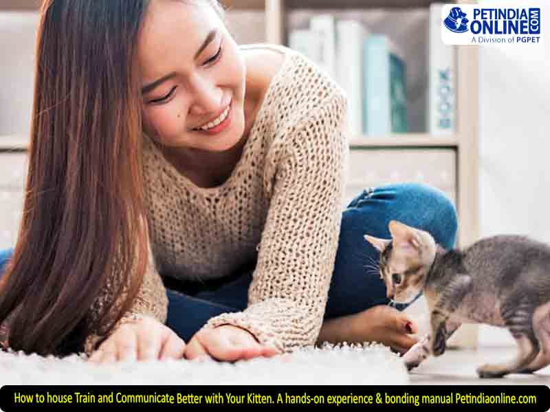 How to house Train and Communicate Better with Your Kitten. A hands-on experience & bonding manual Petindiaonline.com