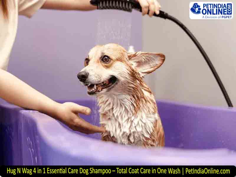 Hug N Wag 4 in 1 Essential Care Dog Shampoo – Total Coat Care in One Wash | PetIndiaOnline.com
