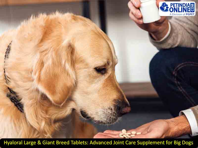 Hyaloral Large & Giant Breed Tablets: Advanced Joint Care Supplement for Big Dogs