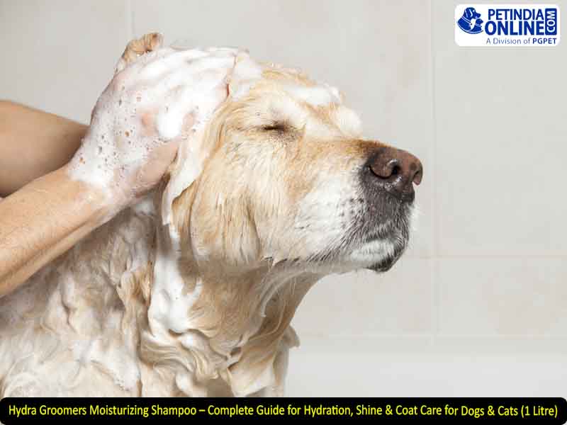 Hydra Groomers Moisturizing Shampoo – Complete Guide for Hydration, Shine & Coat Care for Dogs & Cats (1 Litre)