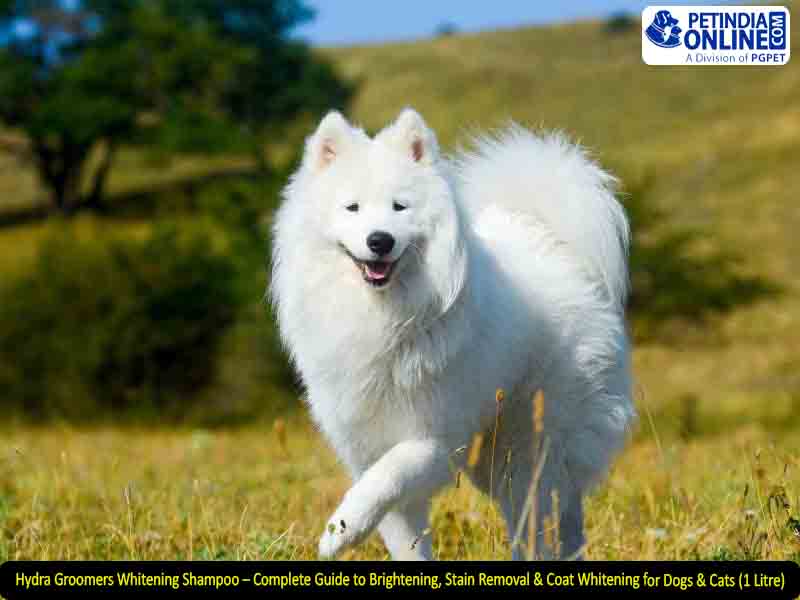 Hydra Groomers Whitening Shampoo – Complete Guide to Brightening, Stain Removal & Coat Whitening for Dogs & Cats (1 Litre)