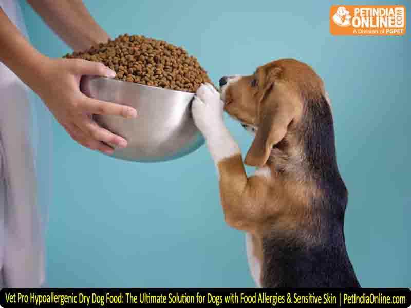 Vet Pro Hypoallergenic Dry Dog Food: The Ultimate Solution for Dogs with Food Allergies & Sensitive Skin | PetIndiaOnline.com