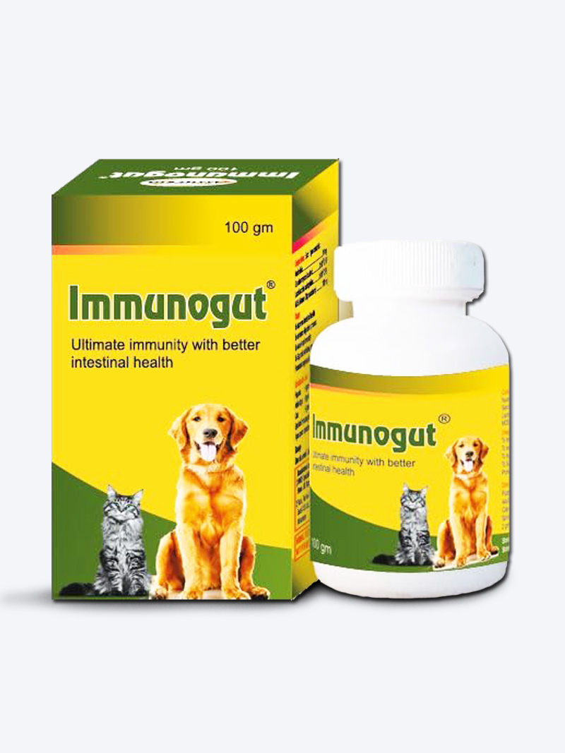 Buy Immunogut 100gm at a low price in online India on Petindiaonline