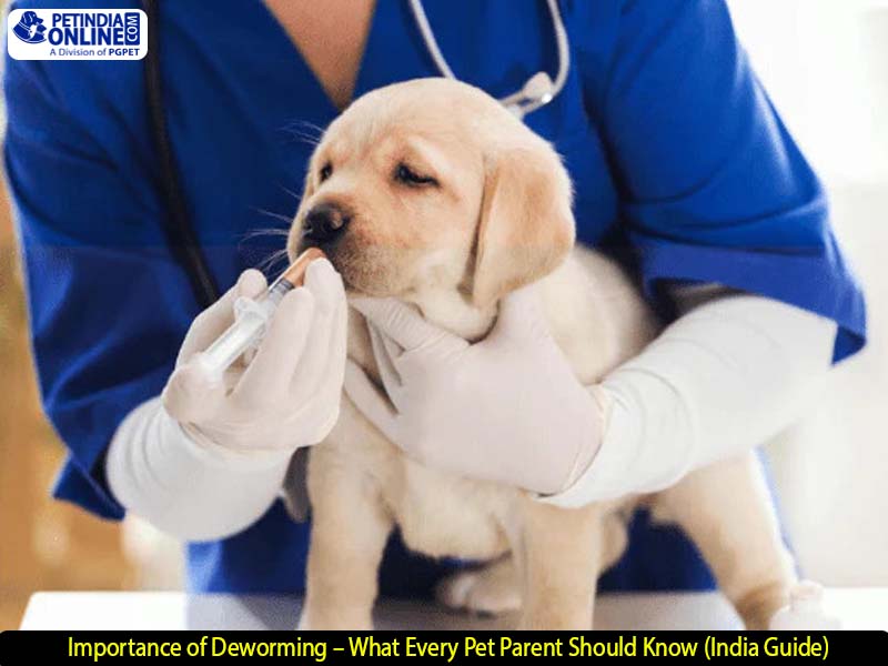 Importance of Deworming – What Every Pet Parent Should Know (India Guide)