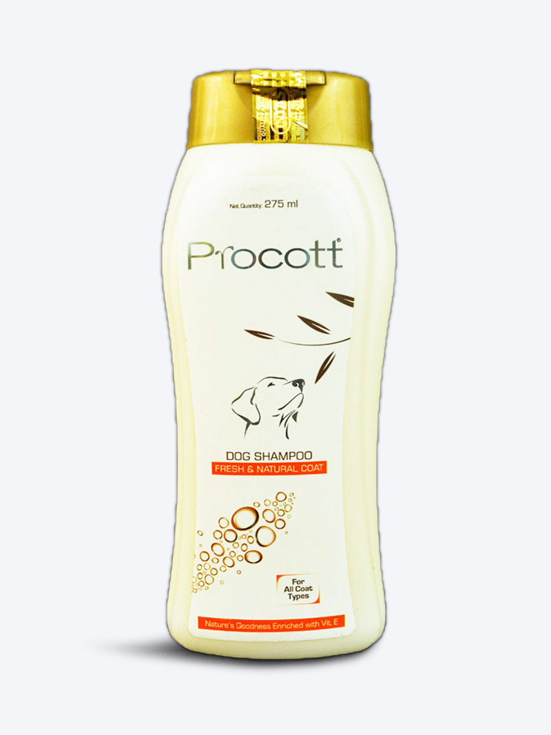 Buy Intas PROCOTT Dog Shampoo 275ml Online – Petindiaonline.com