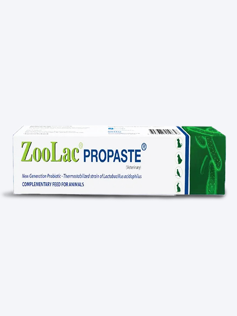 Intas Zoolac Propaste Probiotics for Dogs & Cats – Gut Health, Digestion & Immunity Support