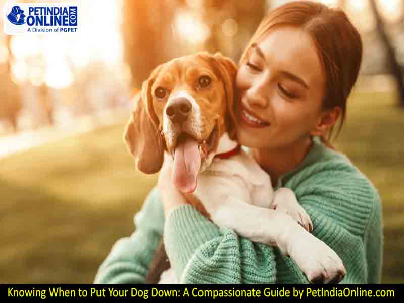 Knowing When to Put Your Dog Down: A Compassionate Guide by PetIndiaOnline.com
