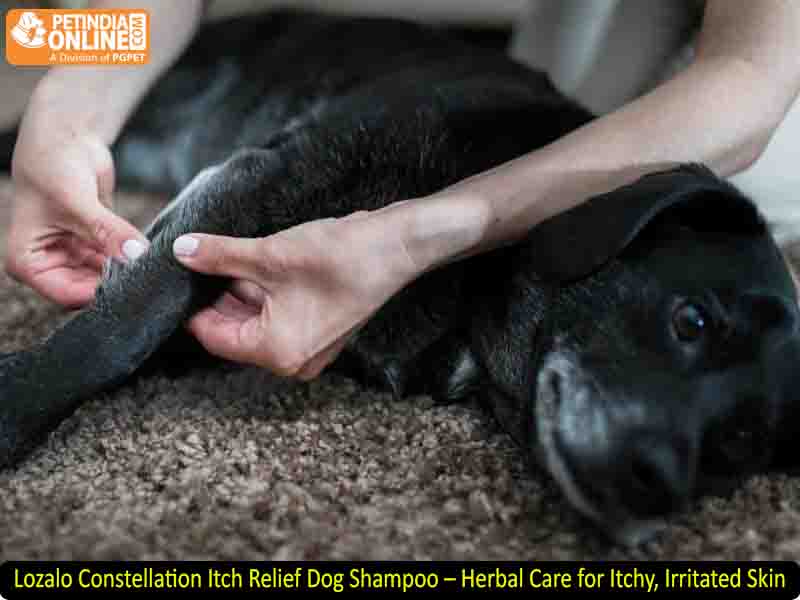Lozalo Constellation Itch Relief Dog Shampoo – Herbal Care for Itchy, Irritated Skin
