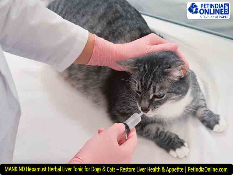 MANKIND Hepamust Herbal Liver Tonic for Dogs & Cats – Restore Liver Health & Appetite | PetIndiaOnline.com