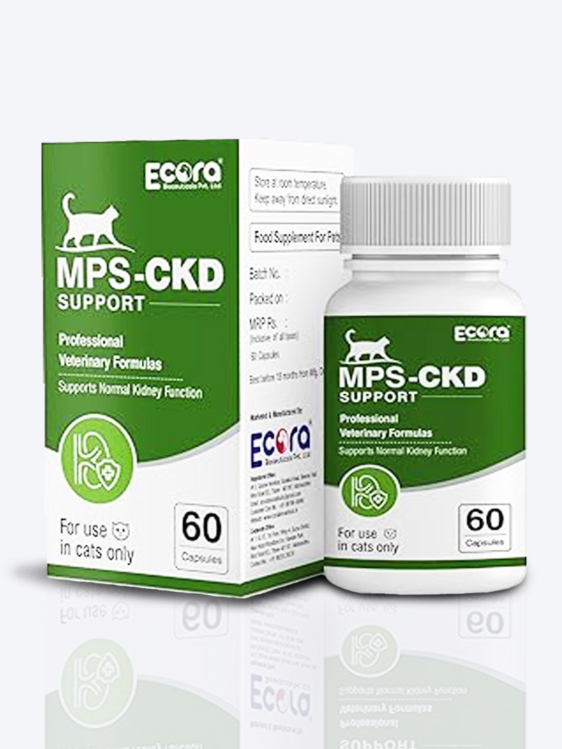 MPS CKD Support for Cats – 60 Tablets | Renal Care, Toxin Control & Kidney Health