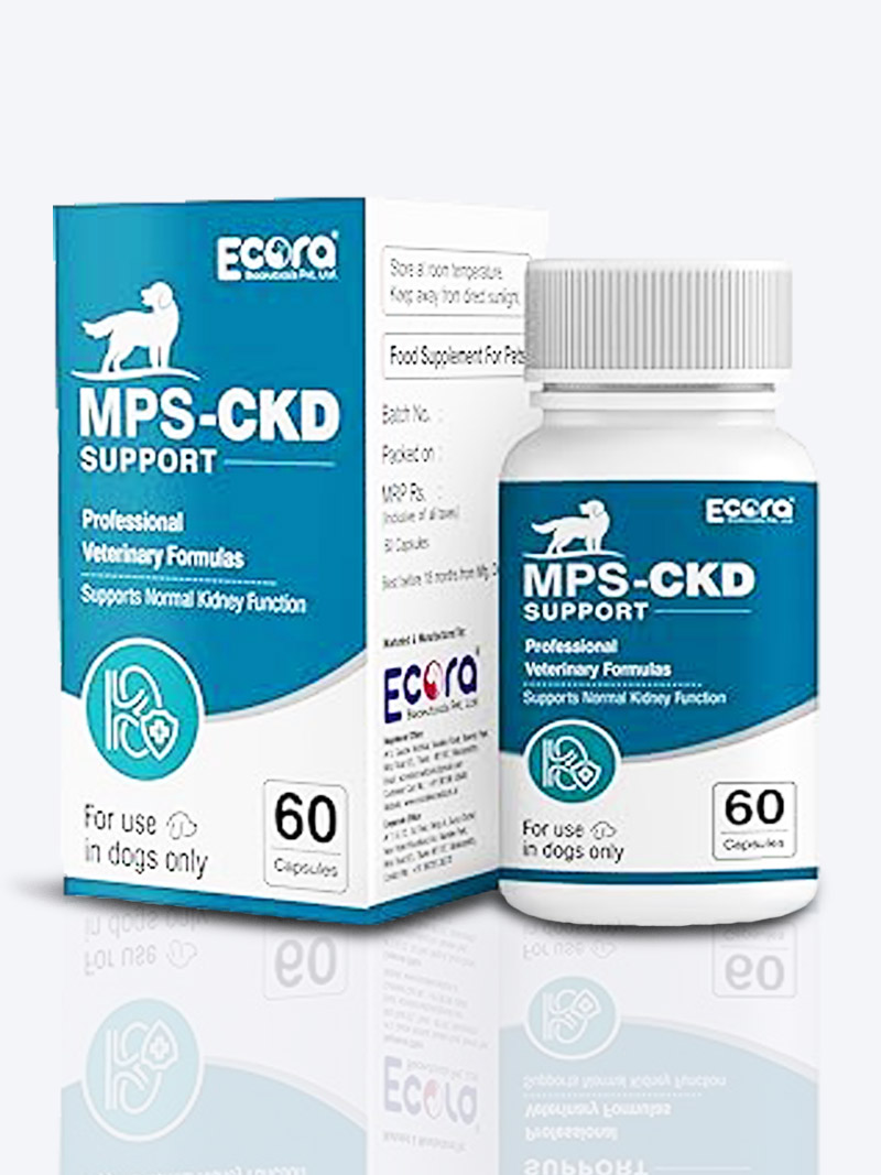 MPS CKD Support for Dogs 60 Tabs | Kidney Care & Renal Health Supplement