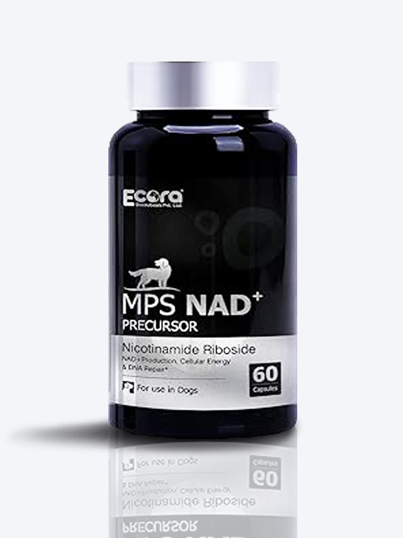 MPS NAD+ Precursor for Dogs & Cats – Cellular Energy & Vitality Support
