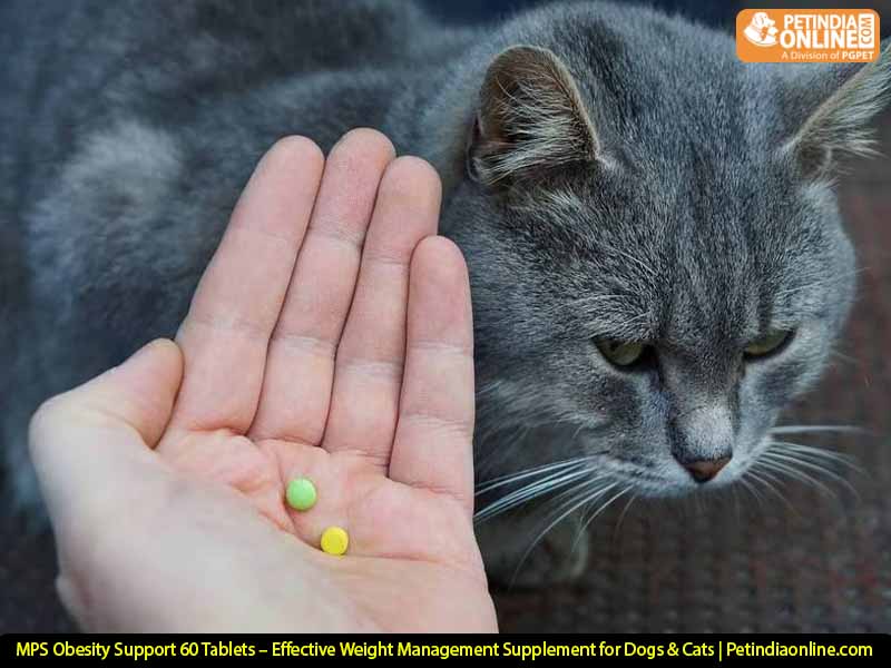 MPS Obesity Support 60 Tablets – Effective Weight Management Supplement for Dogs & Cats | Petindiaonline.com