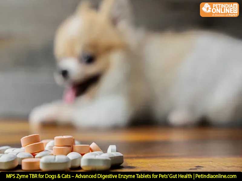 MPS Zyme TBR for Dogs & Cats – Advanced Digestive Enzyme Tablets for Pets’ Gut Health | Petindiaonline.com