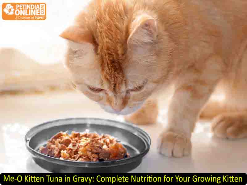 Me-O Kitten Tuna in Gravy: Complete Nutrition for Your Growing Kitten